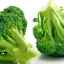 Gojenje brokolija zelja na prostem